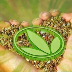 Daulet Sagintaev, 14.08.1991, Актау