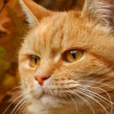 Александр Журавлёв, 21.04