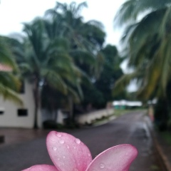 Юлия Евдокимова, 05.07, Saint Petersburg