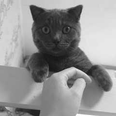 Гузяль Уталипова, Тюмень