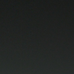 Еж Катерина, Санкт-Петербург