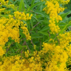 Анна Мещерякова, 08.08, Санкт-Петербург