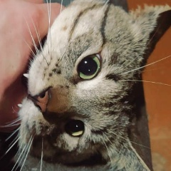 Федор Игнатов, 02.11