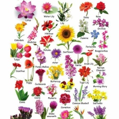 カウンサー リン, 23.08.1983, Yangon