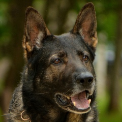 Наталья Печерицына, 29.01, Санкт-Петербург