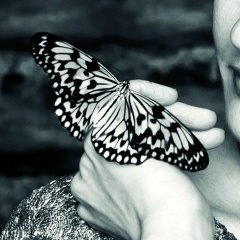 Юлия Лозиняк, 14.01, Архангельск