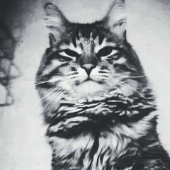 Горын Mazafaka, 25.08.1984, Montego Bay