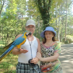 Андрей Татьяна Чекулаевы