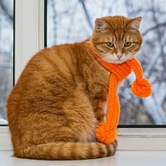 Игорь Шубников, 01.02.1990, Ивдель