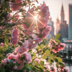 Aidana Tuleugalieva, 01.09, Атырау