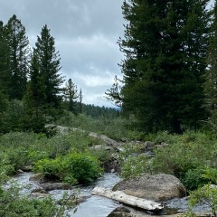 Александр Коновалов, 11.06.1985, Красноярск