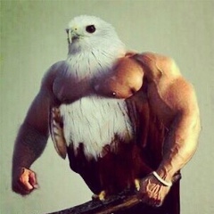 Исмаил Алискеров, 08.12, Махачкала