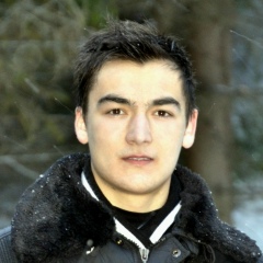 Radu Nemerenco, Глодяны