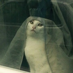 Роберт Нагорный, 13.12.1925, Москва