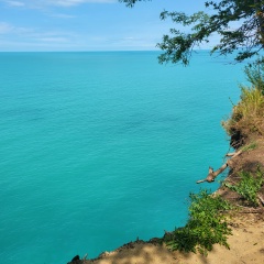 Дмитрий Древаль, Санкт-Петербург