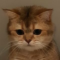 Ирина Ирина, 08.03