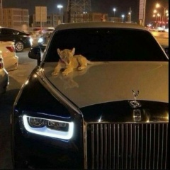 Ирина Зотова, 27.10, Санкт-Петербург