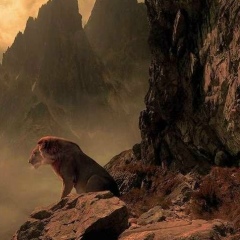 Янис Сапаниди, 25.03.1993