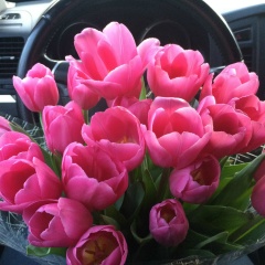 Аллочка Тюрина, 13.10, Жуковский