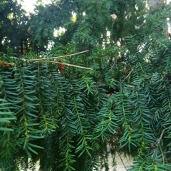 Андрей Сокольников, 27.10, Мурманск