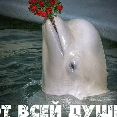 Рустам Расулов, 09.11.1955, Ростов-на-Дону