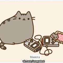 Виктория Литовкина, 12.08, Белгород