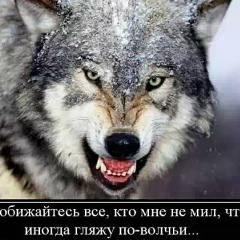 Дмитрий , Санкт-Петербург