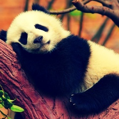 Ольга Кокорева, 27.07.1991