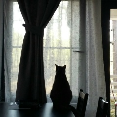 Евгения Жукова, 24.10.1975, Санкт-Петербург