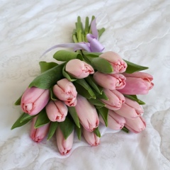 Асылым Алтынбекова, 17.06.1995, Алматы