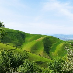 Mirhaydari Safarzod, Душанбе