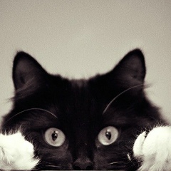 Ирина Лушникова, 23.10, Санкт-Петербург