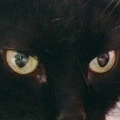 Андрюшка Ибрагимов, 24.07.1989, Санкт-Петербург