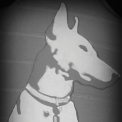 Микадо Микадов, 22.09, Великий Новгород