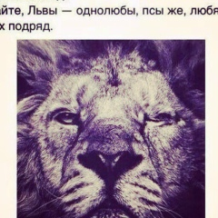 Асиль Гамзатова, 17.06.1996
