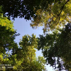 Игорь Михайлов, 17.06, Бухара