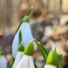 Наталия Наталия, 11.08.1987, Киев