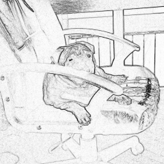 Александр Гапчук, 14.05.1988, Москва