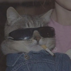 Владимир Игнатов, 05.04.1998, Красноярск