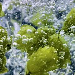 Михаил Петриченко, 25.05.1973, Москва