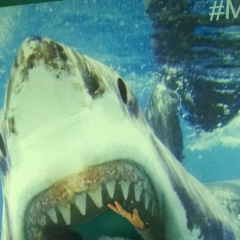 Виктория Иванченко, Москва