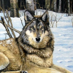 Али Хакмадоевский, 30.08.2004, Москва