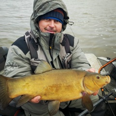 Дмитрий Русов, Коломна