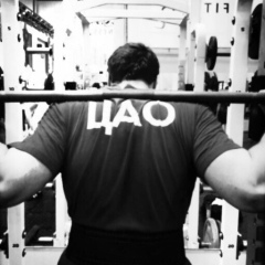 Илья Образцов, Москва