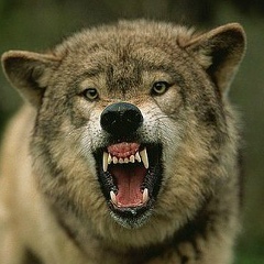 Георгий Самойленко, 12.07, Ставрополь