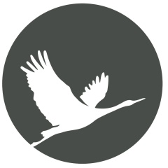 Инна , Севастополь