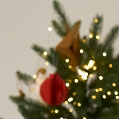 Кирилл Сирин