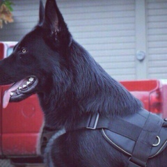 Заман Нургалиев, 03.01, Москва