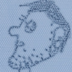 Илья Пинус, Milano