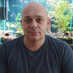 Павел Панов, 17.01.1977